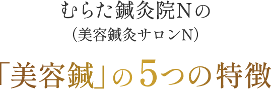 むらた鍼灸院N（美容鍼灸サロンN）の美容鍼の5つの特徴